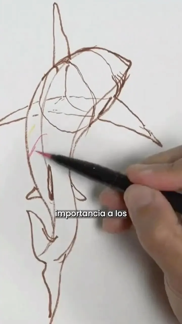 Portada del video