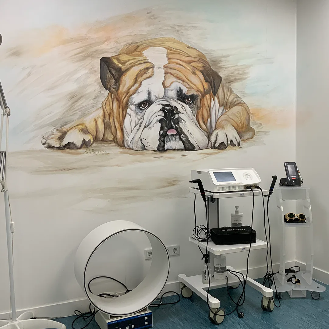 Detalle de mural veterinario con retratos de mascotas