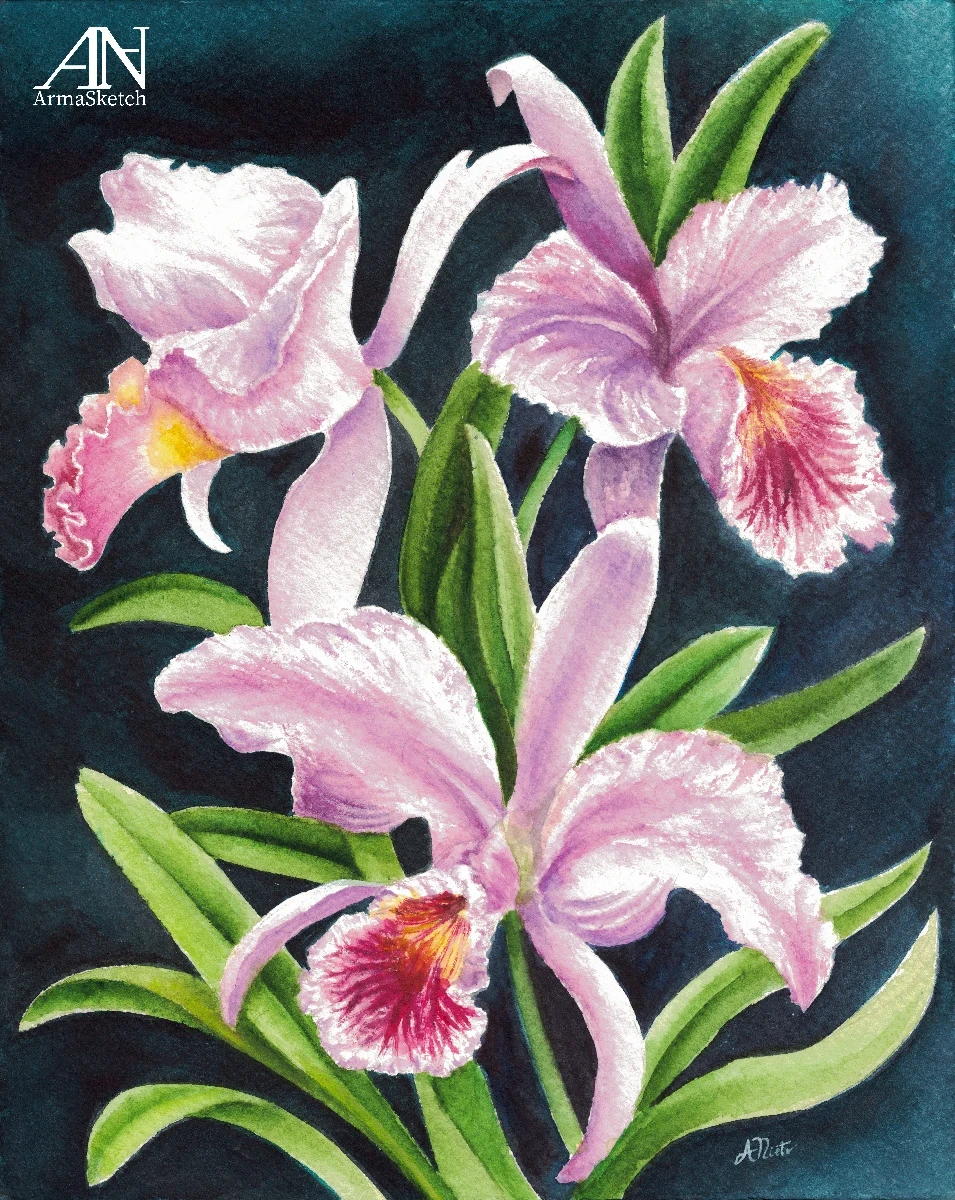 Sueños rosados