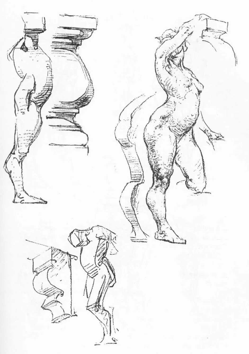 Anatomía para el dibujante