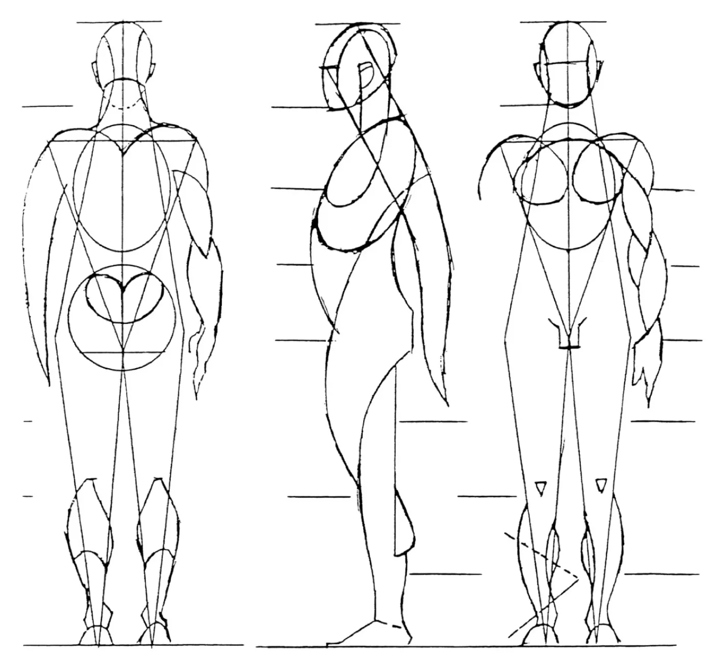 Método Reilly Figura Humana