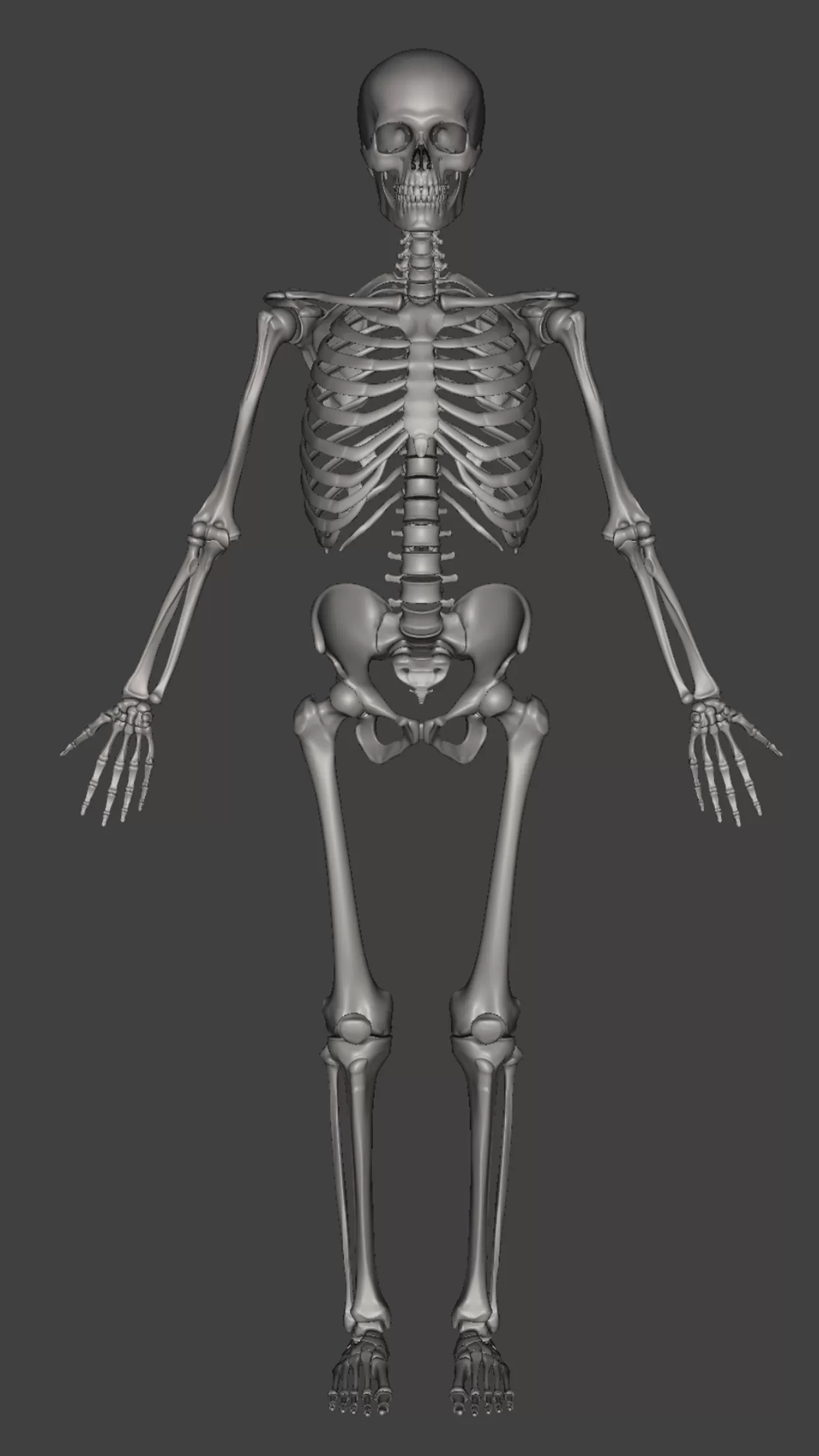 Estudiar Anatomía humana